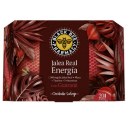 Jalea Real Energia 20 Ampollas